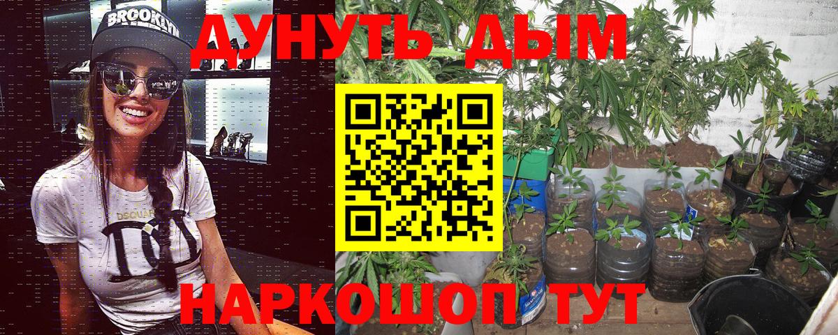 Каннабис сатива  Конопля MAZAR  Вход с VPN  Улан-Удэ  Каннабис White Widow 